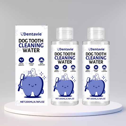 Dentavie