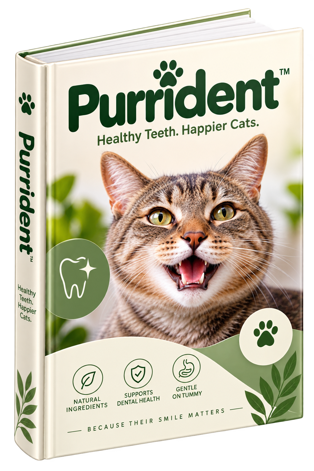 E-book for healthy cat teeth
