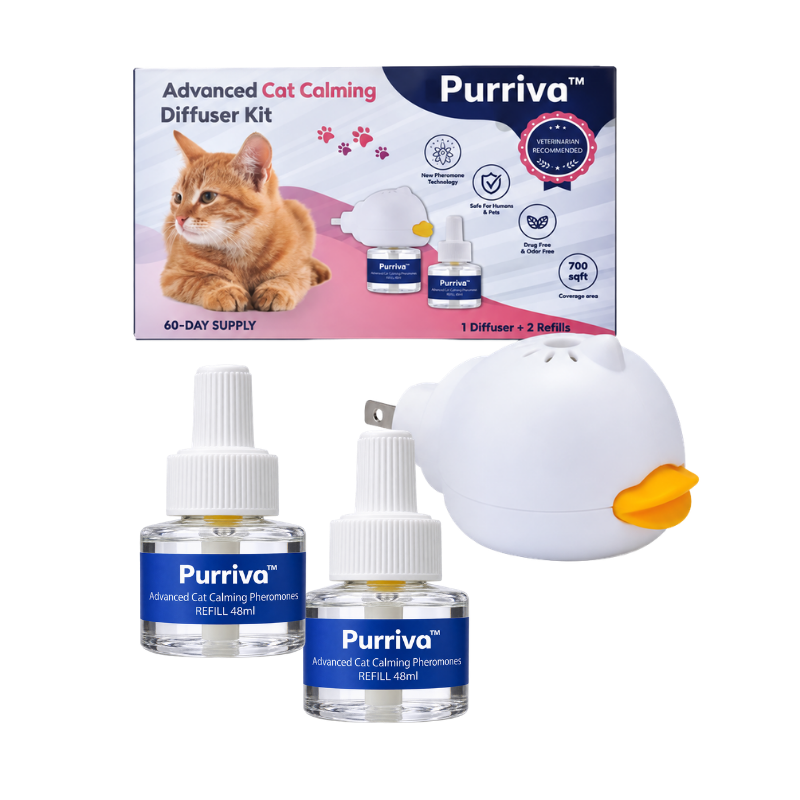 Purriva