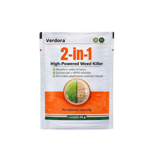 Verdora