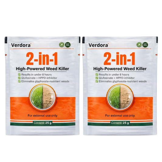 Verdora